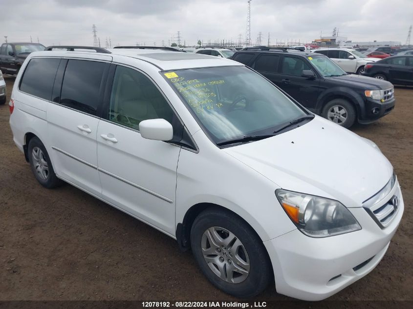 2007 Honda Odyssey VIN: 5FNRL38677B450636 Lot: 12078192