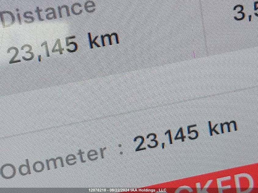 2023 Tesla Model 3 VIN: LRW3E1EB6PC923636 Lot: 12078218