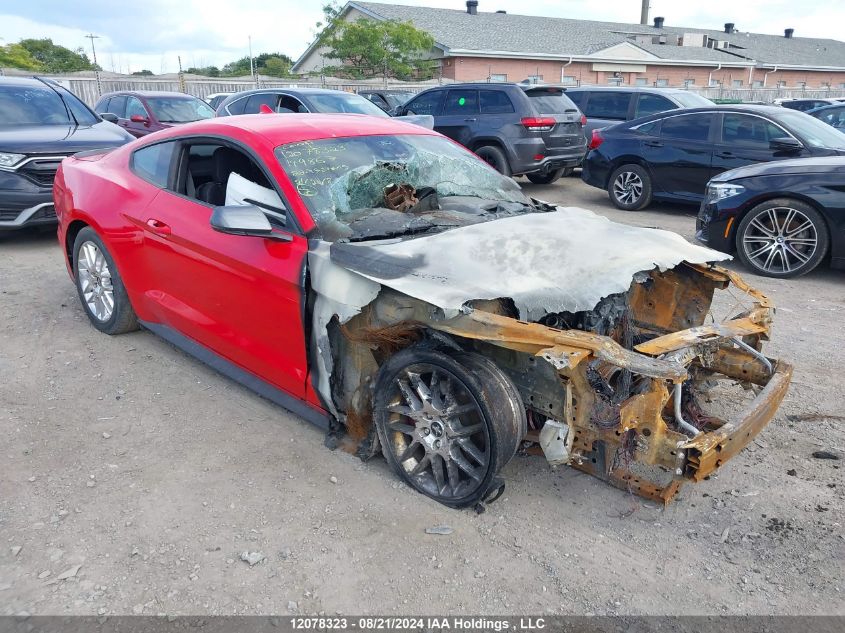 2022 Ford Mustang VIN: 1FA6P8TD2N5149867 Lot: 12078323