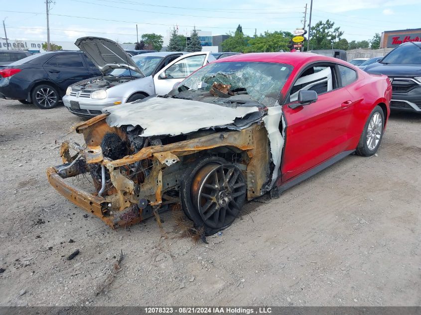 2022 Ford Mustang VIN: 1FA6P8TD2N5149867 Lot: 12078323