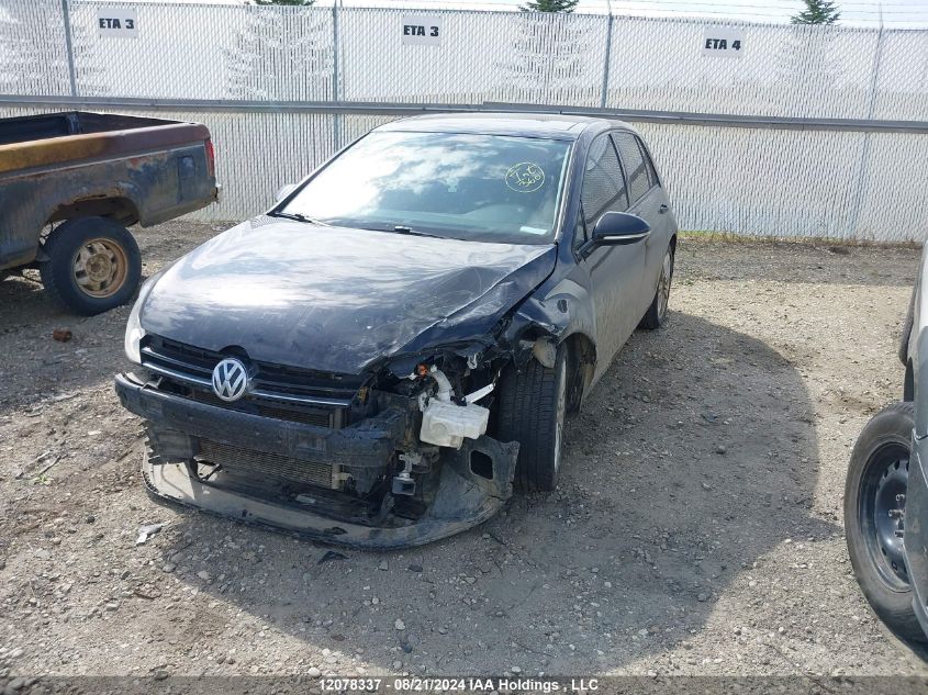 3VW217AU6GM048901 2016 VOLKSWAGEN GOLF - Image 2