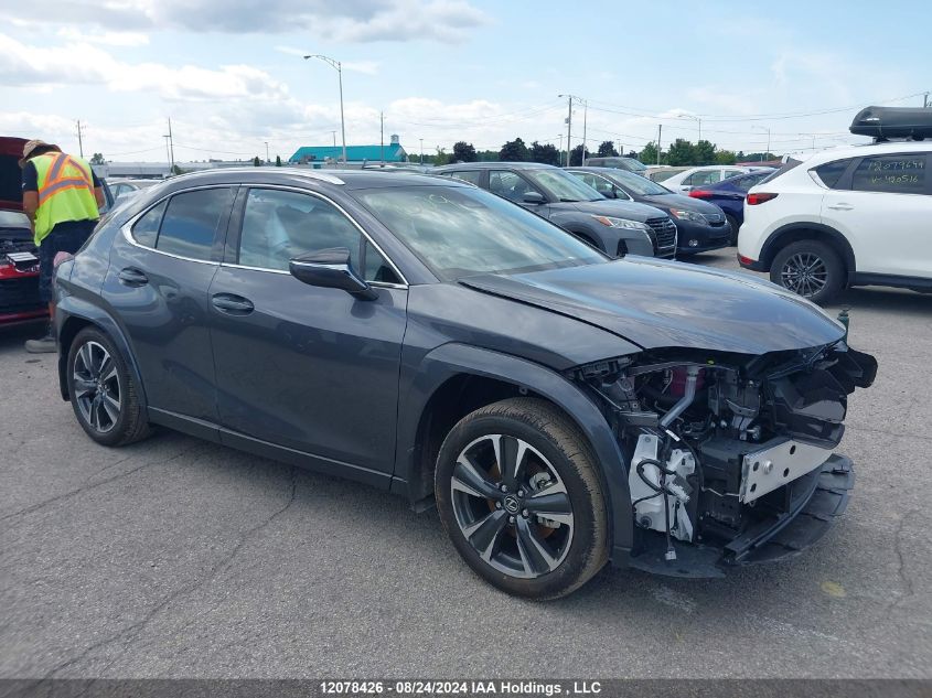 2025 Lexus Ux