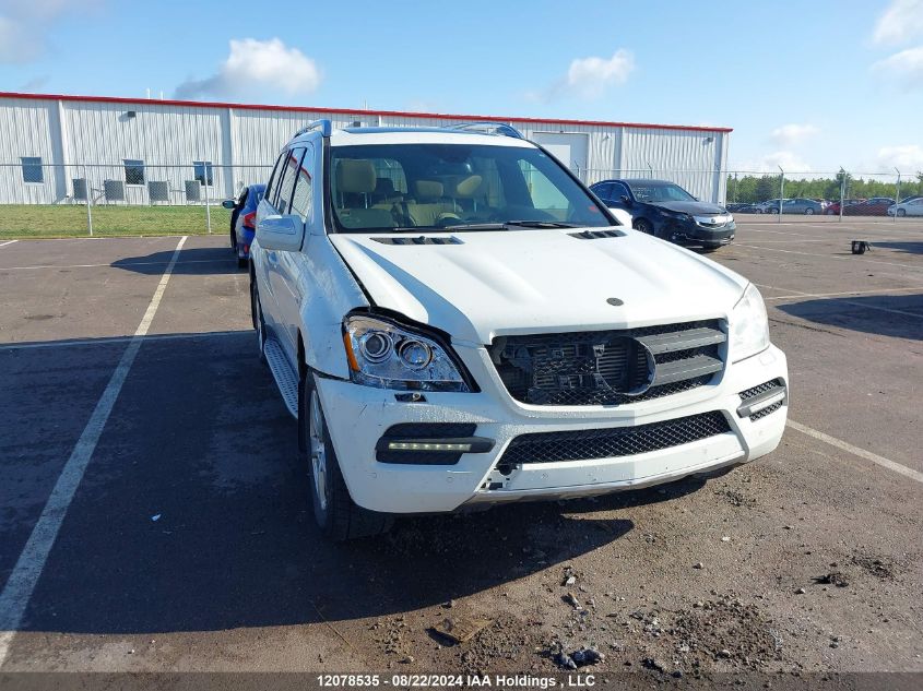 2010 Mercedes-Benz Gl-Class VIN: 4JGBF2FEXAA573887 Lot: 12078535