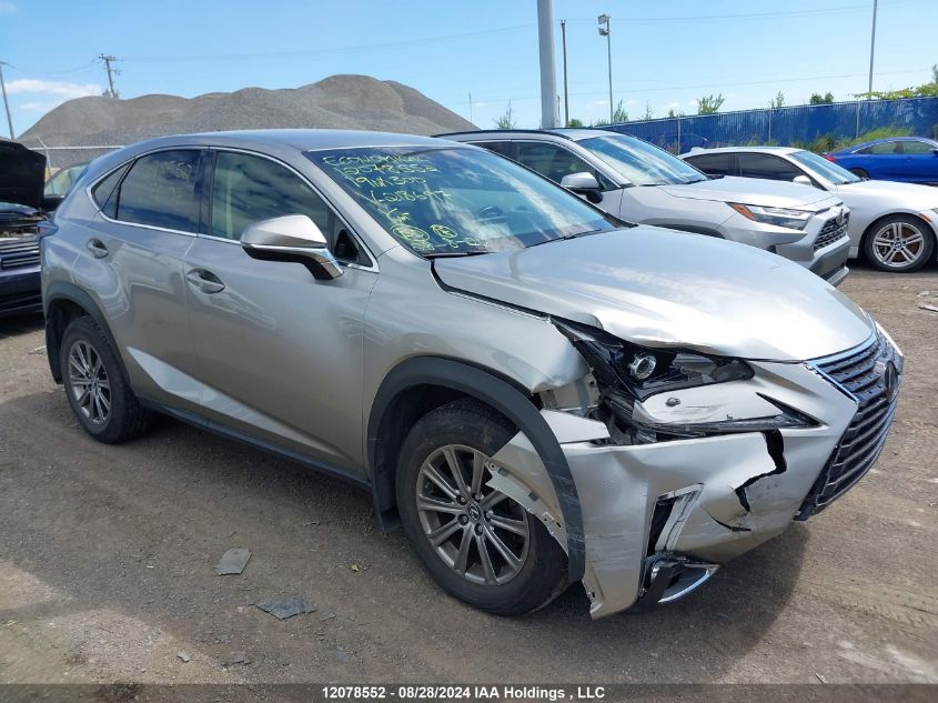 2019 Lexus Nx 300 VIN: JTJBARBZ4K2182697 Lot: 12078552