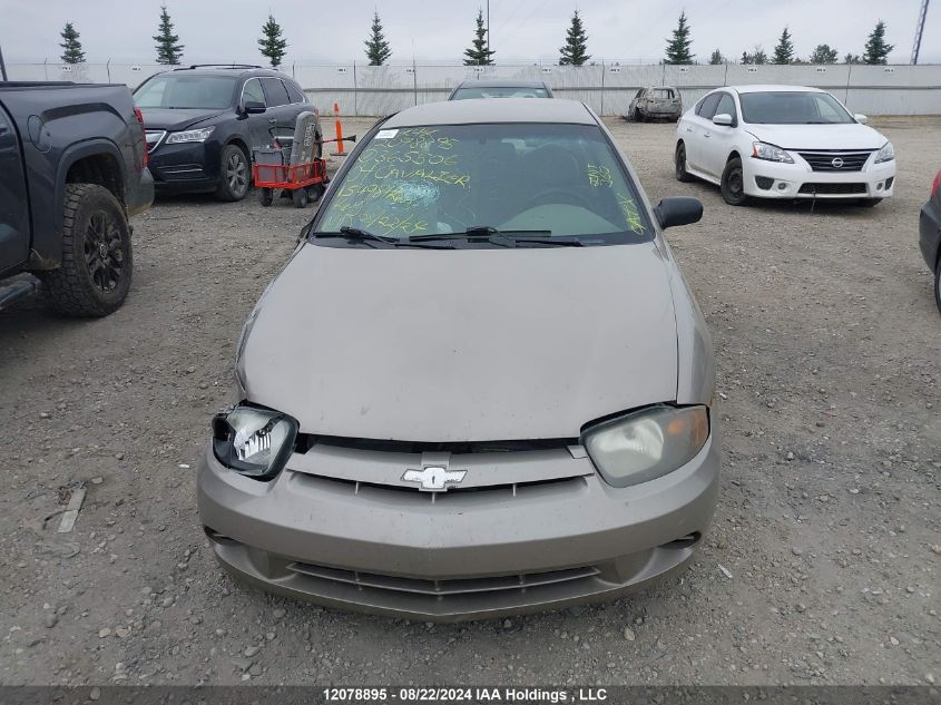 2004 Chevrolet Cavalier VIN: 1G1JC52F247365506 Lot: 12078895
