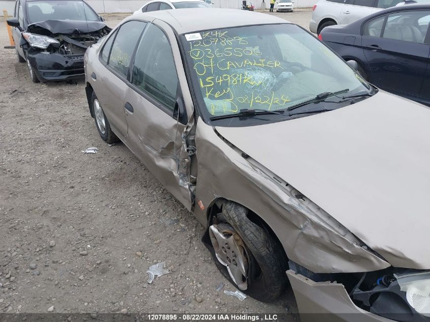 2004 Chevrolet Cavalier VIN: 1G1JC52F247365506 Lot: 12078895