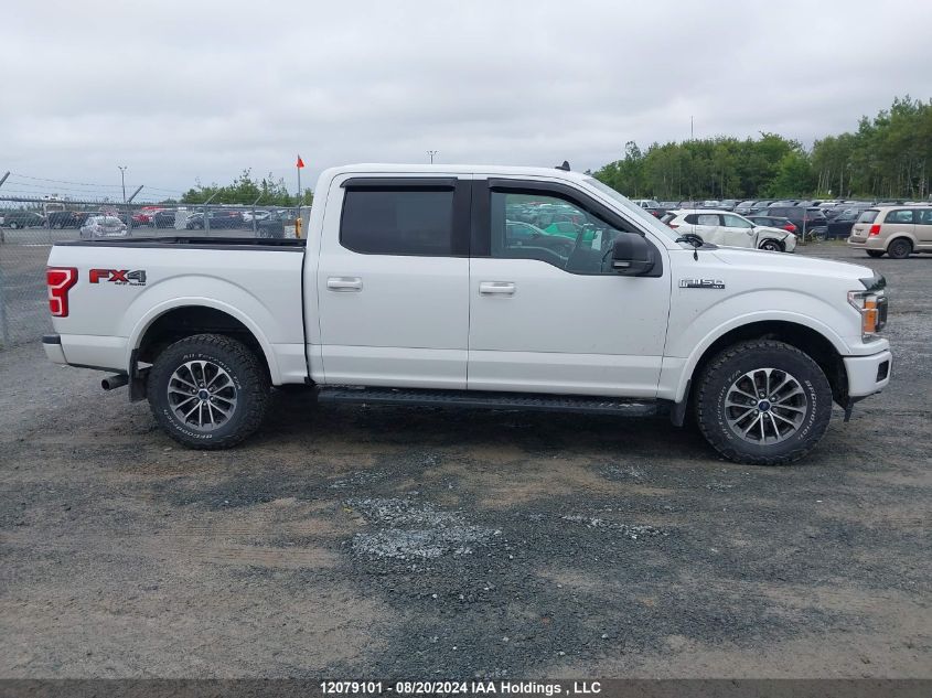 2019 Ford F-150 Xlt VIN: 1FTEW1E59KFD04362 Lot: 12079101