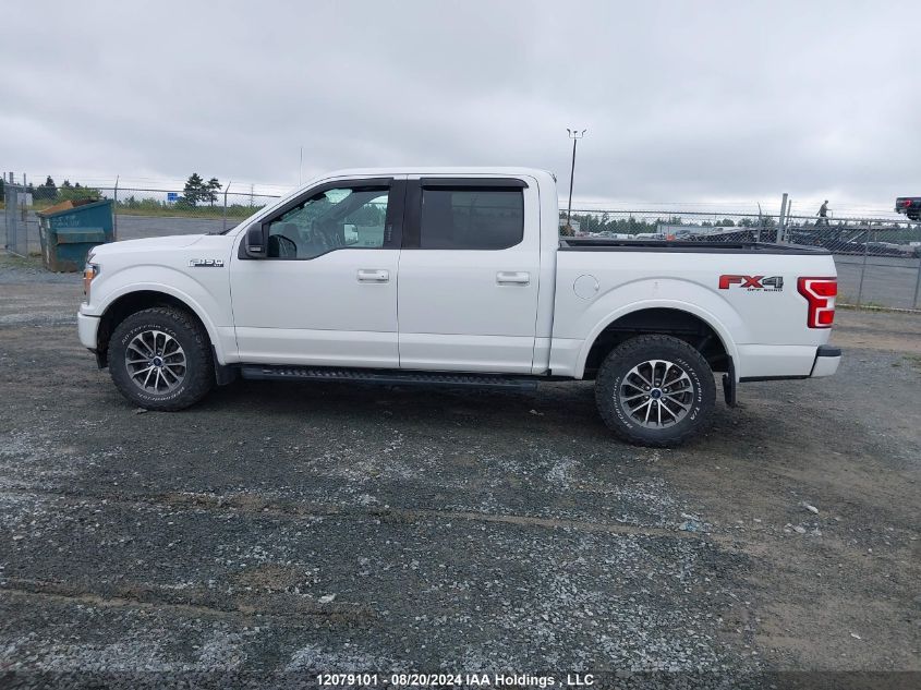 2019 Ford F-150 Xlt VIN: 1FTEW1E59KFD04362 Lot: 12079101