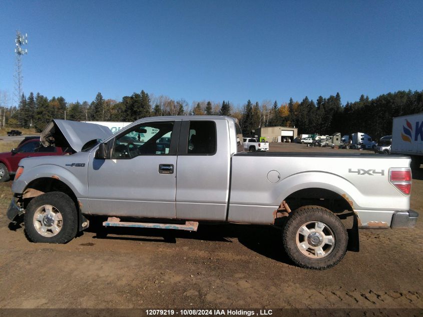 2009 Ford F-150 VIN: 1FTRX14869FB42047 Lot: 12079219