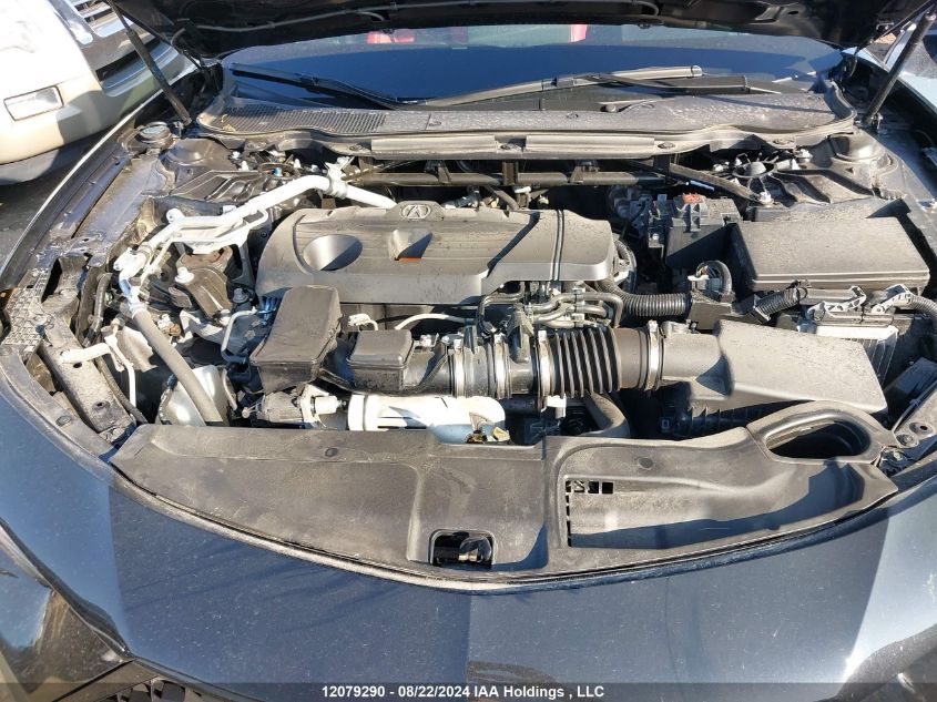 2023 Acura Tlx VIN: 19UUB6F59PA800271 Lot: 12079290