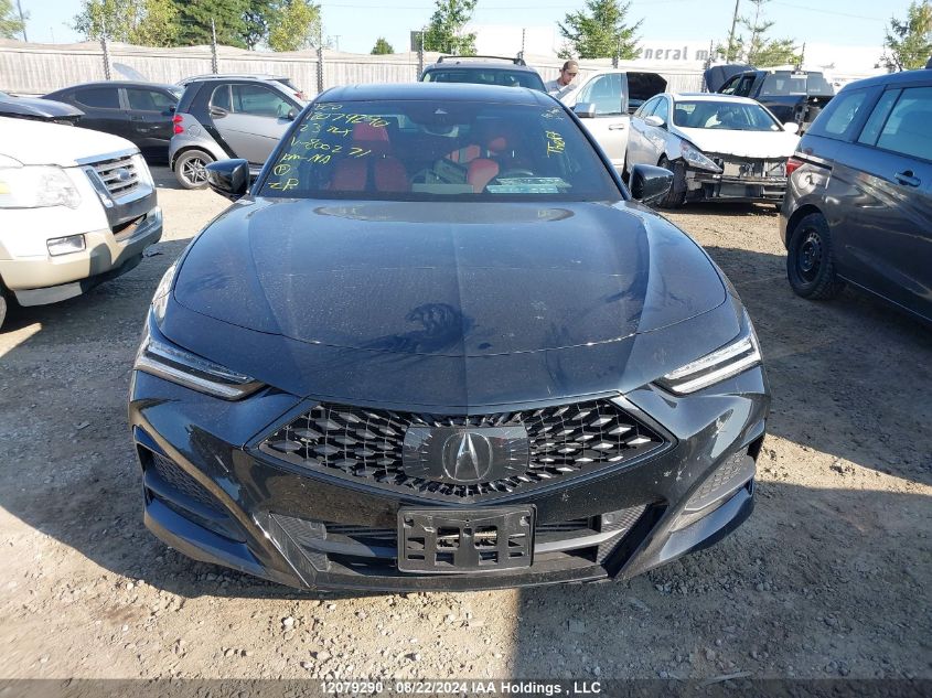2023 Acura Tlx VIN: 19UUB6F59PA800271 Lot: 12079290