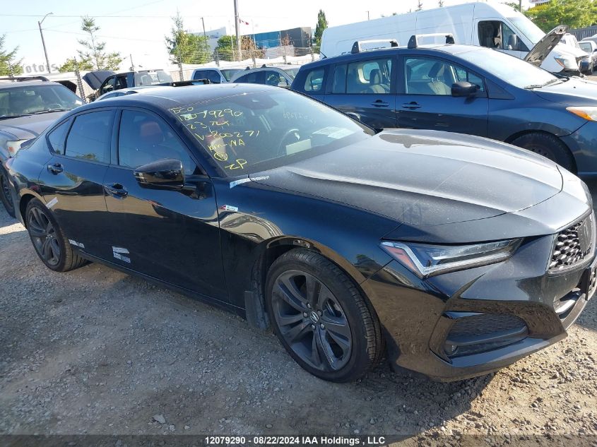 2023 Acura Tlx VIN: 19UUB6F59PA800271 Lot: 12079290