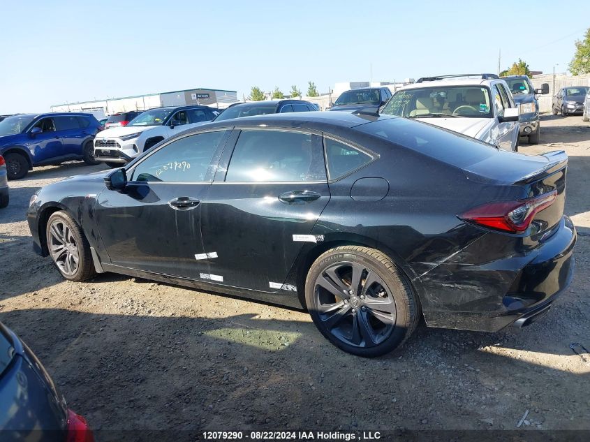 2023 Acura Tlx VIN: 19UUB6F59PA800271 Lot: 12079290
