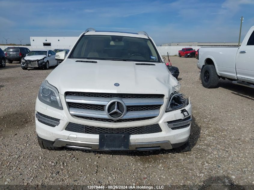 2013 Mercedes-Benz Gl-Class VIN: 4JGDF7CE8DA236942 Lot: 12079448