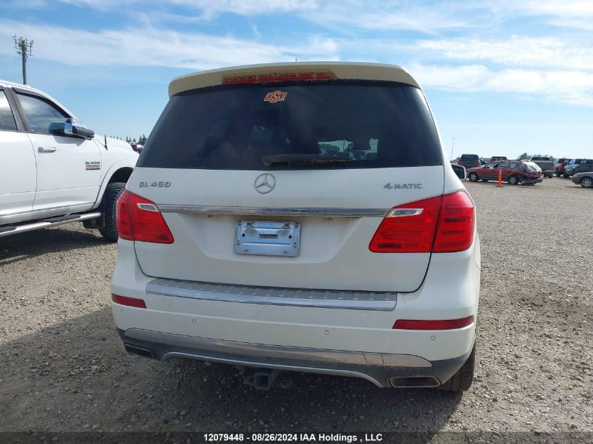 2013 Mercedes-Benz Gl-Class VIN: 4JGDF7CE8DA236942 Lot: 12079448