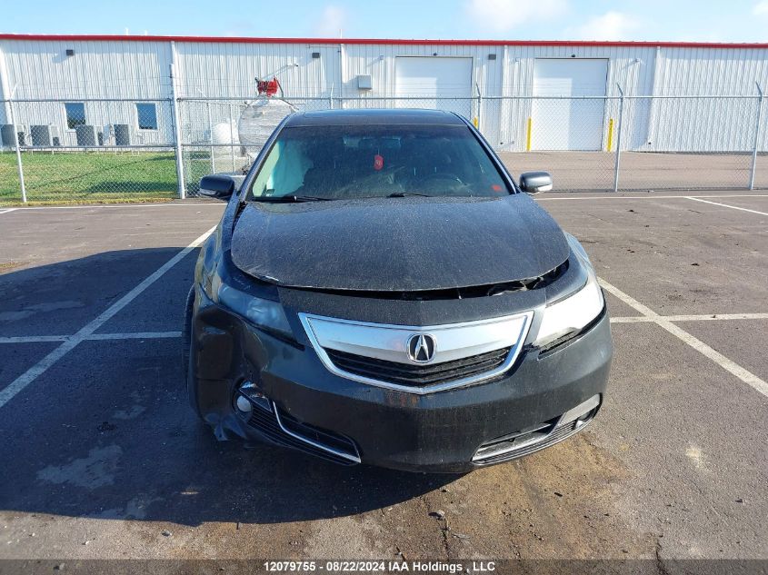 2012 Acura Tl VIN: 19UUA8F2XCA801461 Lot: 12079755