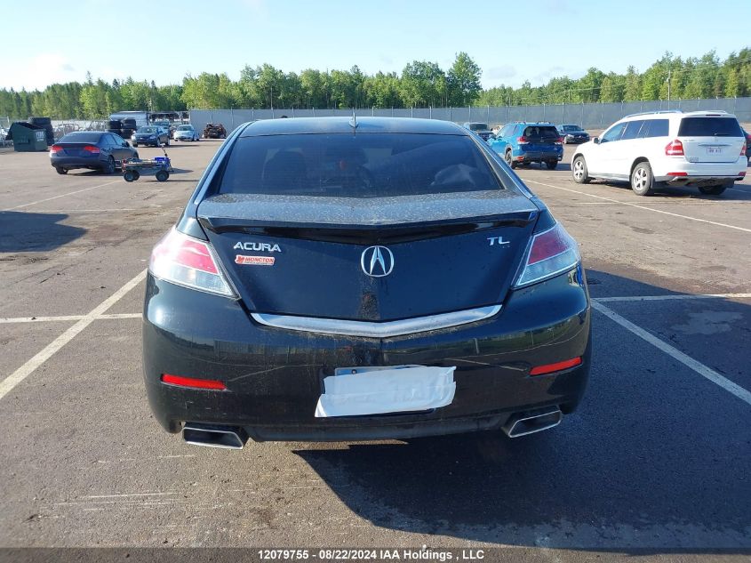 2012 Acura Tl VIN: 19UUA8F2XCA801461 Lot: 12079755