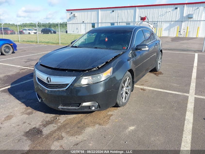 2012 Acura Tl VIN: 19UUA8F2XCA801461 Lot: 12079755