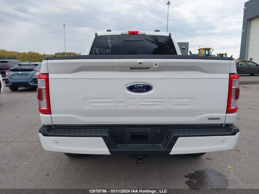 2023 Ford F150 Supercrew VIN: 1FTEW1EP8PKD32251 Lot: 12079756