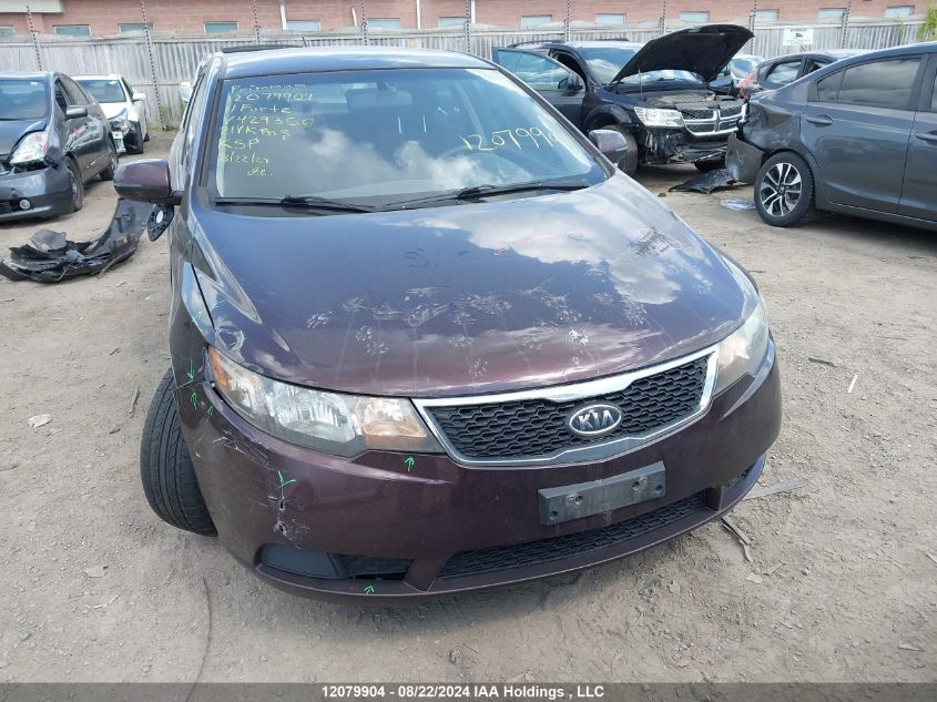 KNAFU4A20B5429356 2011 Kia Forte