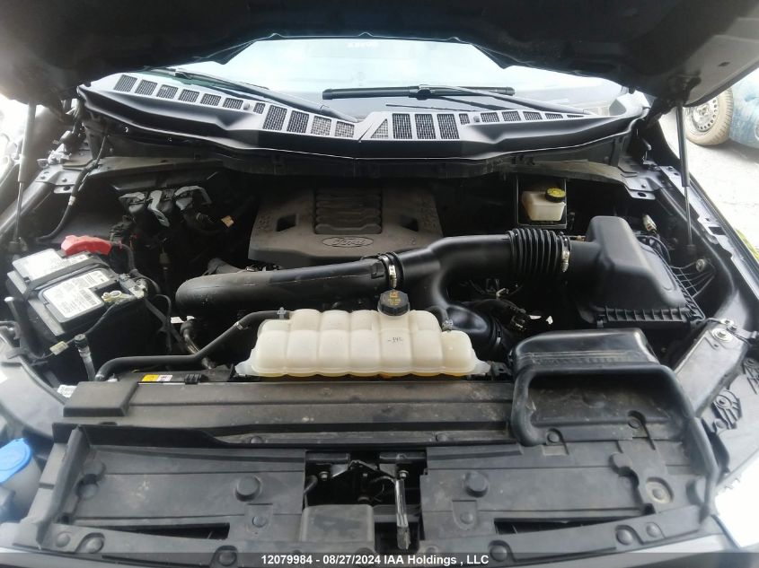 2023 Ford F-150 Xlt VIN: 1FTFW1E8XPFC28995 Lot: 12079984