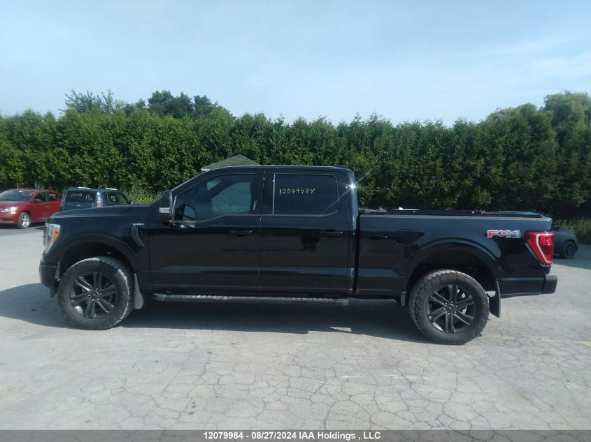 2023 Ford F-150 Xlt VIN: 1FTFW1E8XPFC28995 Lot: 12079984