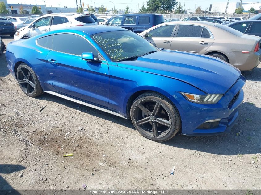 2017 Ford Mustang V6 VIN: 1FA6P8AM3H5348188 Lot: 12080145