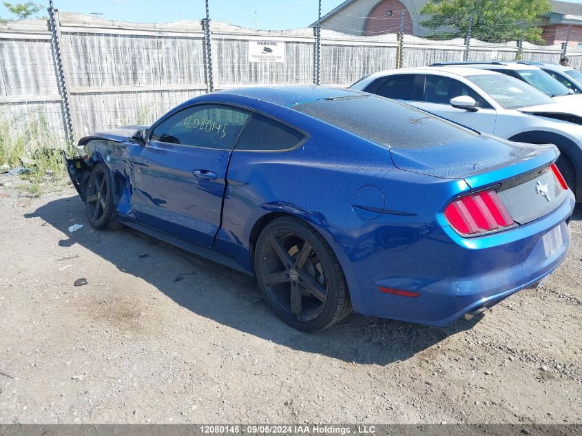 2017 Ford Mustang V6 VIN: 1FA6P8AM3H5348188 Lot: 12080145