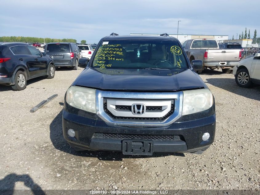 2011 Honda Pilot VIN: 5FNYF4H69BB505492 Lot: 12080193