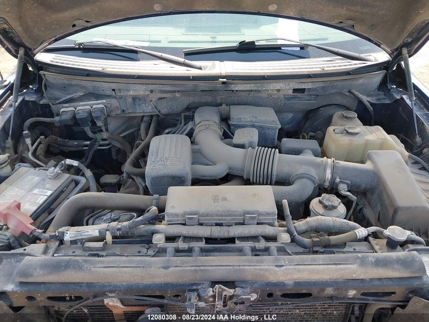 2009 Ford F-150 VIN: 1FTPW14V69FA82805 Lot: 12080308