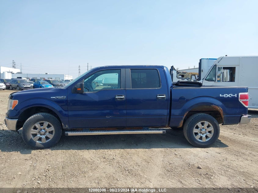 2009 Ford F-150 VIN: 1FTPW14V69FA82805 Lot: 12080308