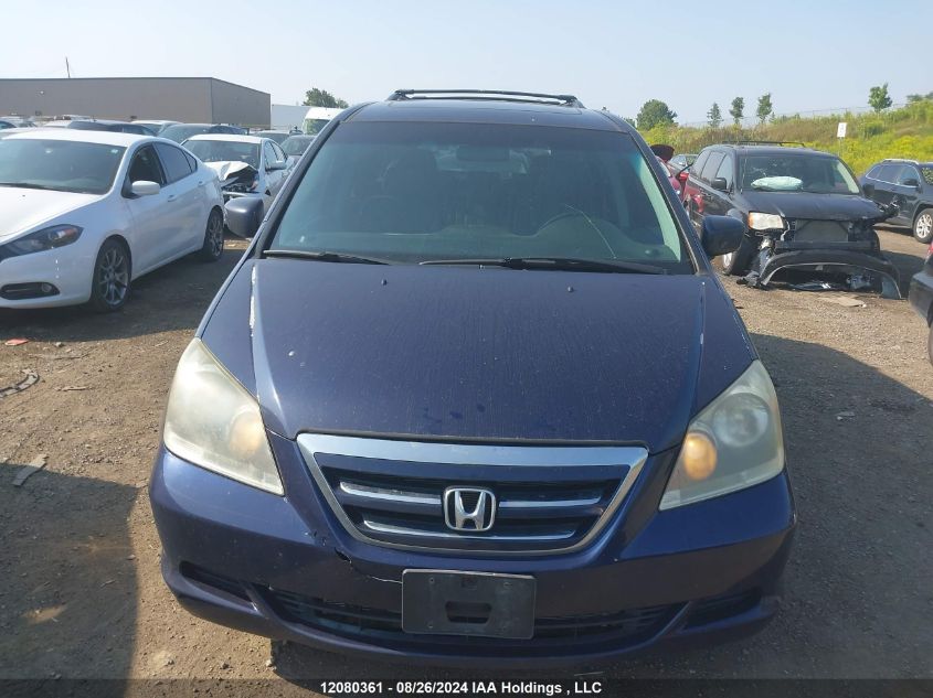 2007 Honda Odyssey VIN: 5FNRL386X7B505550 Lot: 12080361
