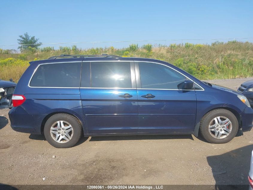 2007 Honda Odyssey VIN: 5FNRL386X7B505550 Lot: 12080361