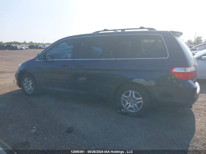 2007 Honda Odyssey VIN: 5FNRL386X7B505550 Lot: 12080361
