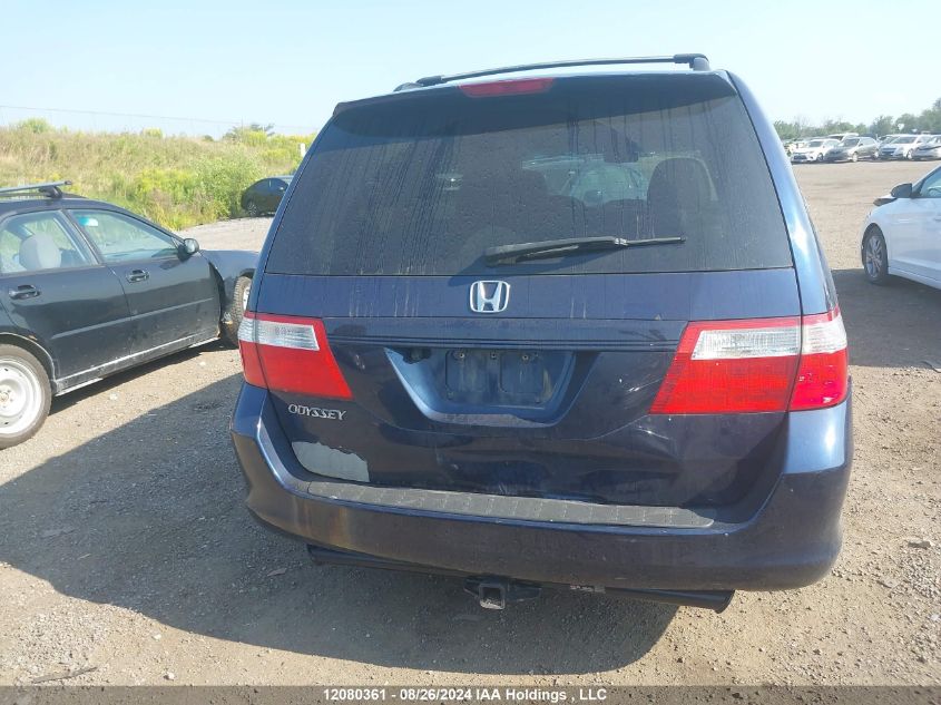 2007 Honda Odyssey VIN: 5FNRL386X7B505550 Lot: 12080361