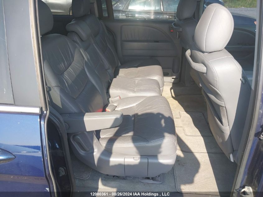 2007 Honda Odyssey VIN: 5FNRL386X7B505550 Lot: 12080361