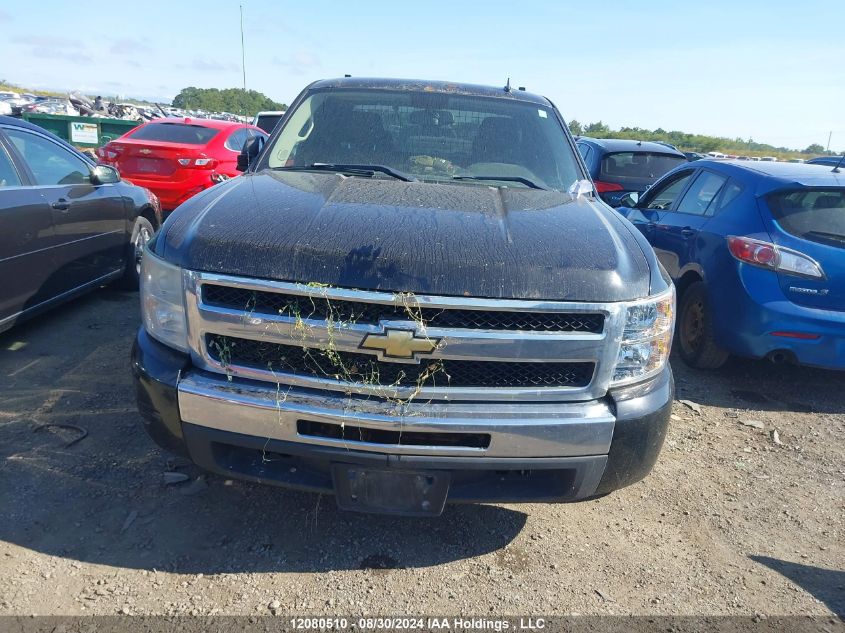 2010 Chevrolet Silverado 1500 VIN: 1GCSCSE03AZ115581 Lot: 12080510