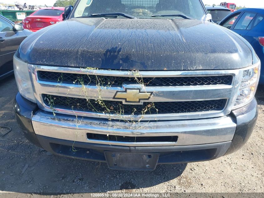 2010 Chevrolet Silverado 1500 VIN: 1GCSCSE03AZ115581 Lot: 12080510