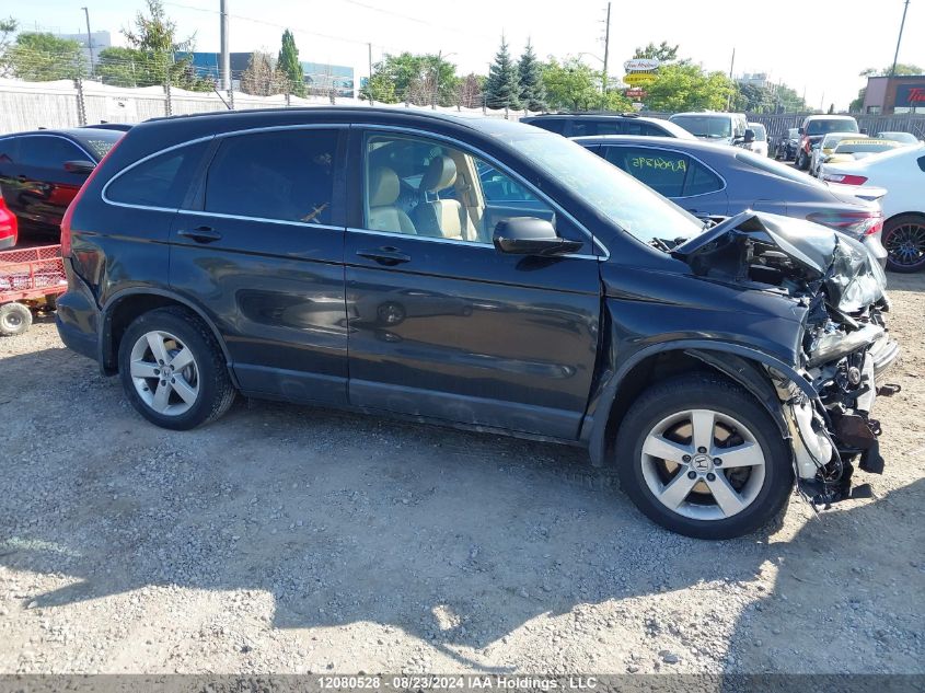 2009 Honda Cr-V VIN: 5J6RE48749L811646 Lot: 12080528