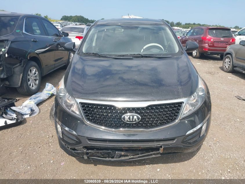 2016 Kia Sportage Lx VIN: KNDPB3AC7G7818507 Lot: 12080539