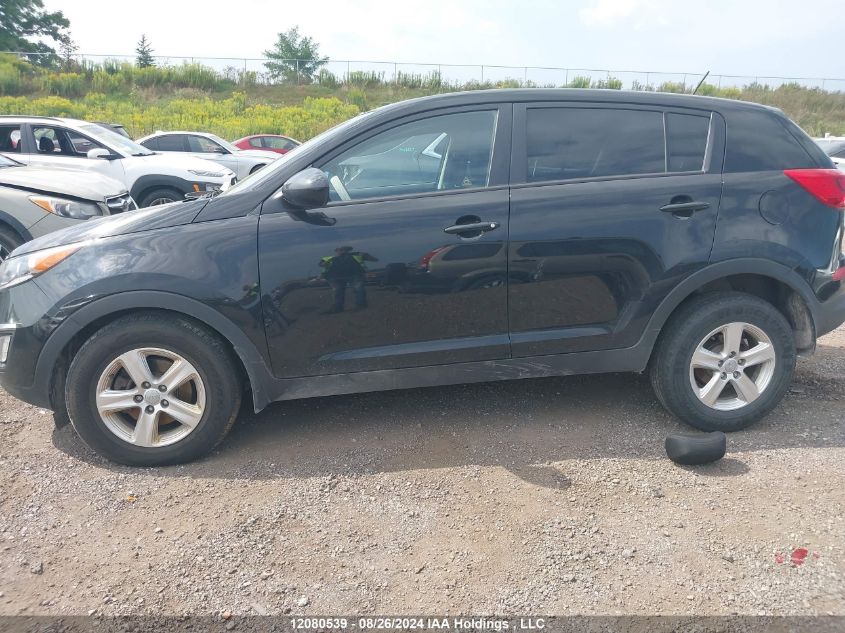 2016 Kia Sportage Lx VIN: KNDPB3AC7G7818507 Lot: 12080539