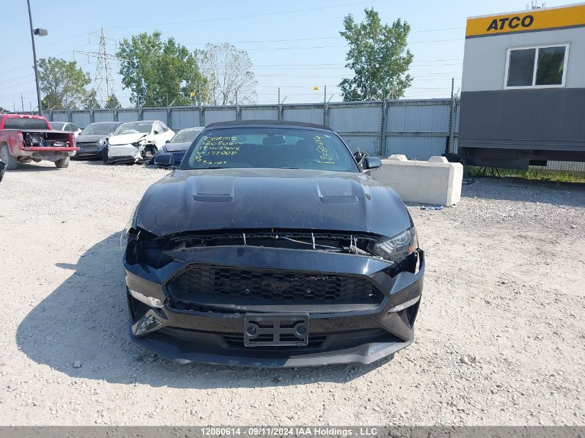 2019 Ford Mustang VIN: 1FATP8UH6K5177008 Lot: 12080614