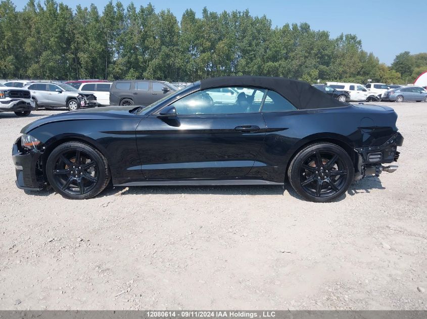 2019 Ford Mustang VIN: 1FATP8UH6K5177008 Lot: 12080614