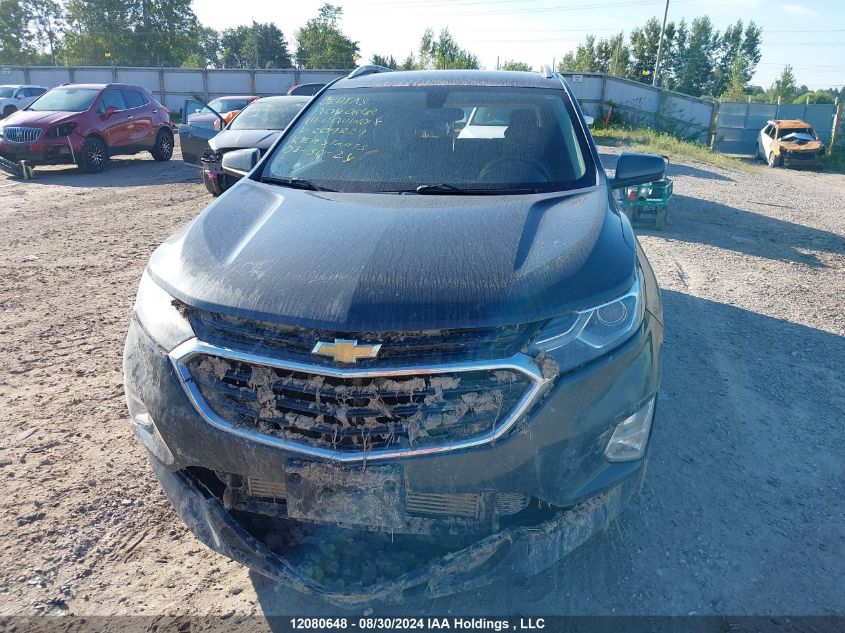 2019 Chevrolet Equinox VIN: 2GNAXVEX8K6209829 Lot: 12080648