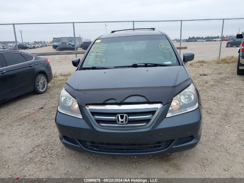 2006 Honda Odyssey VIN: 5FNRL38656B501209 Lot: 12080675