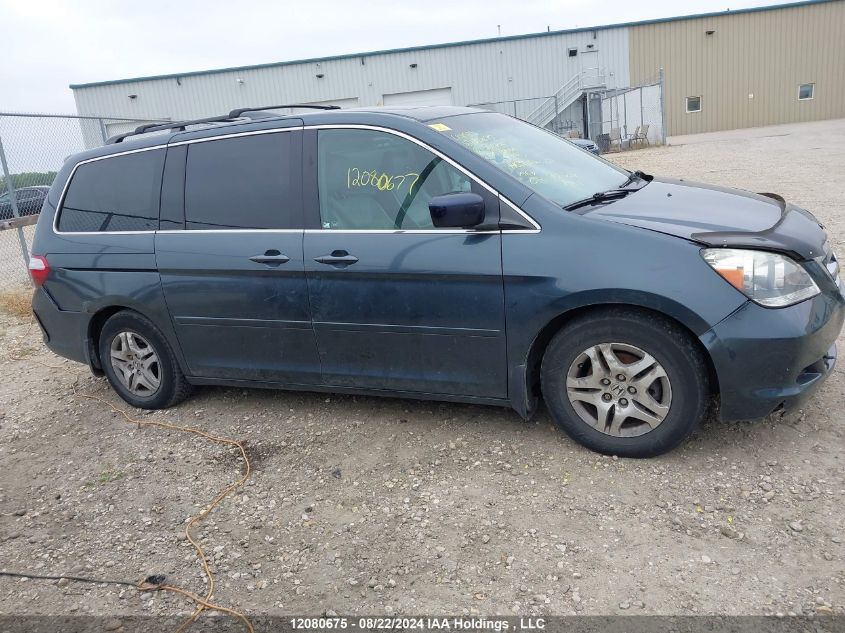 2006 Honda Odyssey VIN: 5FNRL38656B501209 Lot: 12080675