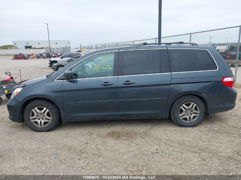 2006 Honda Odyssey VIN: 5FNRL38656B501209 Lot: 12080675