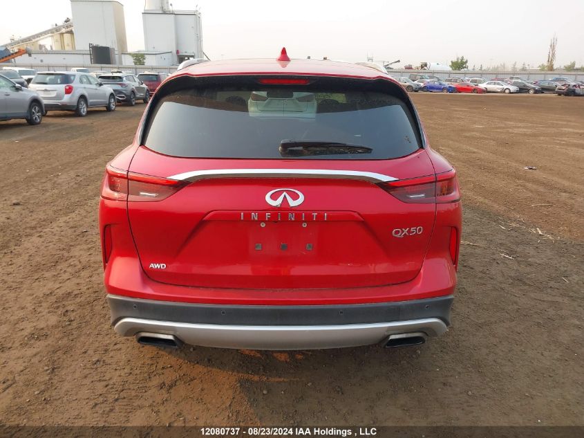 2019 Infiniti Qx50 VIN: 3PCAJ5M36KF142232 Lot: 12080737