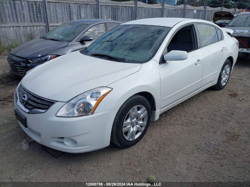 2010 Nissan Altima VIN: 1N4AL2AP1AC183949 Lot: 12080789