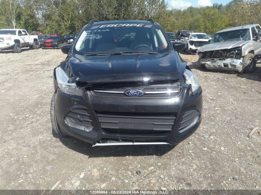 2016 Ford Escape Se VIN: 1FMCU9G95GUA56234 Lot: 12080854